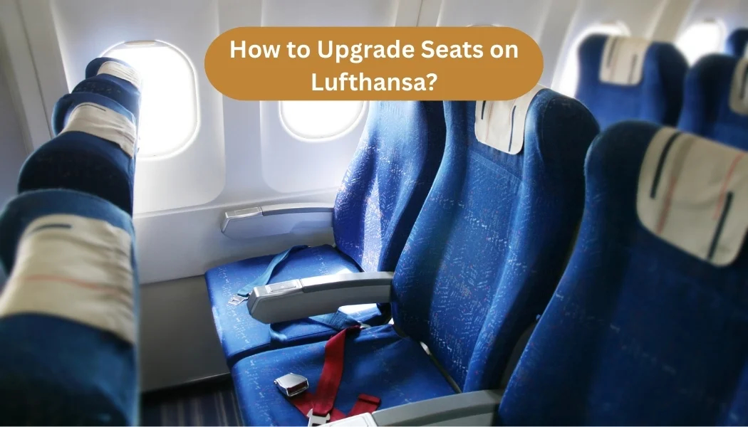How to upgrade your seat on Lufthansa: Step-by-Step guide How to upgrade your seat on Lufthansa: Step-by-Step guide